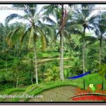 Exotic PROPERTY 13,800 m2 LAND FOR SALE IN Ubud Tegalalang TJUB590