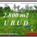 2,800 m2 LAND FOR SALE IN UBUD BALI TJUB592