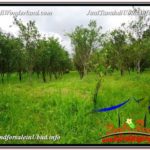 Affordable LAND FOR SALE IN UBUD TJUB593