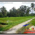 Beautiful PROPERTY Ubud Tegalalang 3,200 m2 LAND FOR SALE TJUB594