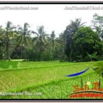 Beautiful PROPERTY Ubud Tegalalang 3,200 m2 LAND FOR SALE TJUB594