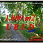 Exotic LAND IN UBUD FOR SALE TJUB597