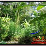 Exotic LAND IN UBUD FOR SALE TJUB597