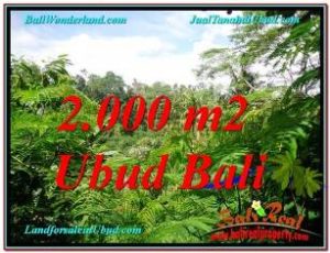 Exotic PROPERTY 1,800 m2 LAND IN UBUD BALI FOR SALE TJUB610