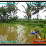 Exotic PROPERTY LAND IN UBUD FOR SALE TJUB574