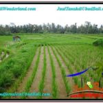 Magnificent PROPERTY LAND FOR SALE IN UBUD BALI TJUB575
