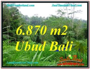 FOR SALE Affordable LAND IN Ubud Tampak Siring TJUB602