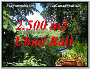 FOR SALE Affordable PROPERTY 2,500 m2 LAND IN UBUD BALI TJUB605
