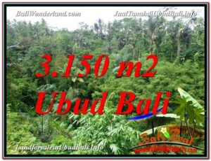 Beautiful Ubud Tegalalang BALI LAND FOR SALE TJUB608