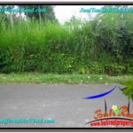 Affordable LAND IN Ubud Tampak Siring BALI FOR SALE TJUB602