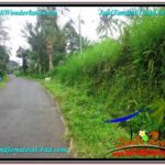 Affordable LAND IN Ubud Tampak Siring BALI FOR SALE TJUB602