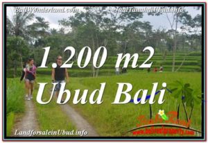 FOR SALE Affordable PROPERTY LAND IN Ubud Tegalalang BALI TJUB624