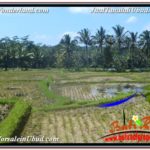 Magnificent PROPERTY LAND FOR SALE IN UBUD BALI TJUB631
