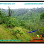Beautiful 4,787 m2 LAND FOR SALE IN Ubud Tampak Siring TJUB603