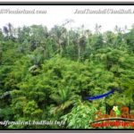 FOR SALE Beautiful LAND IN Ubud Tegalalang BALI TJUB608