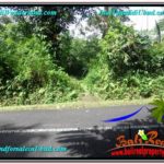 FOR SALE Beautiful PROPERTY 2,000 m2 LAND IN Ubud Tegalalang TJUB611