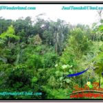 FOR SALE Beautiful PROPERTY 2,000 m2 LAND IN Ubud Tegalalang TJUB611