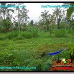 Beautiful PROPERTY 1,400 m2 LAND IN Ubud Tegalalang FOR SALE TJUB612