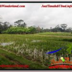 Exotic LAND FOR SALE IN UBUD TJUB615