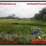 Exotic LAND FOR SALE IN UBUD TJUB615