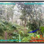 Magnificent LAND IN UBUD FOR SALE TJUB617