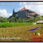 Exotic LAND SALE IN Ubud Pejeng BALI TJUB618