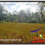 Exotic LAND SALE IN Ubud Pejeng BALI TJUB618