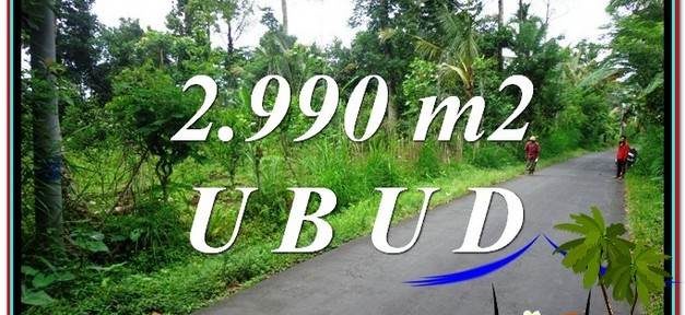 Magnificent PROPERTY LAND IN UBUD BALI FOR SALE TJUB591