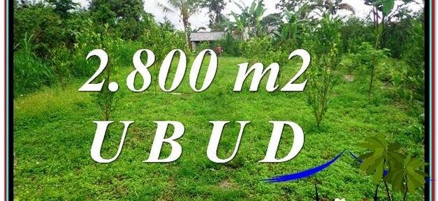 Beautiful PROPERTY 2,800 m2 LAND SALE IN Ubud Tegalalang TJUB592