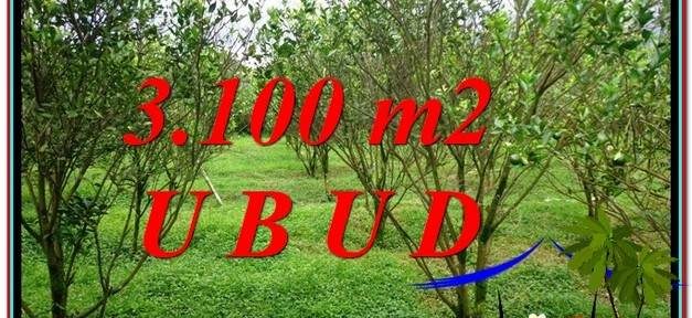 Beautiful PROPERTY UBUD BALI LAND FOR SALE TJUB593