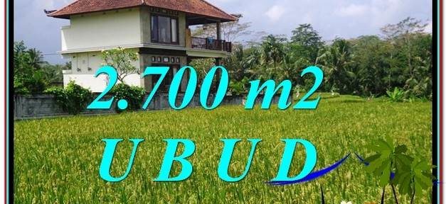 2,700 m2 LAND SALE IN UBUD BALI TJUB595