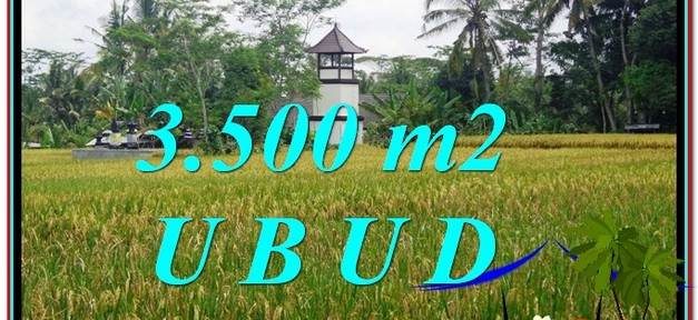 3,500 m2 LAND FOR SALE IN UBUD BALI TJUB596