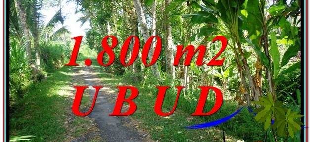 FOR SALE Affordable 1,800 m2 LAND IN UBUD BALI TJUB597