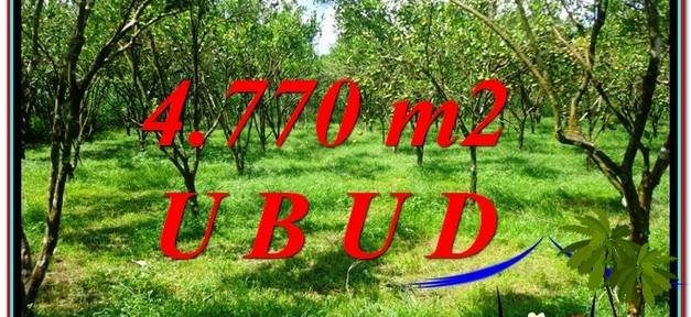 Affordable 4,770 m2 LAND IN UBUD BALI FOR SALE TJUB598