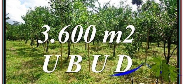 Exotic 3,600 m2 LAND FOR SALE IN Ubud Tegalalang TJUB599