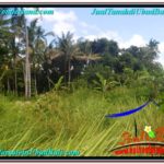 Magnificent PROPERTY 614 m2 LAND IN Sentral Ubud FOR SALE TJUB622