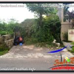 Magnificent PROPERTY LAND FOR SALE IN UBUD BALI TJUB623