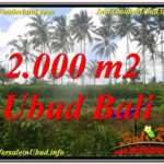 Magnificent PROPERTY LAND FOR SALE IN UBUD BALI TJUB625
