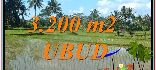Ubud Payangan BALI LAND FOR SALE TJUB628