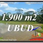 UBUD BALI 1,900 m2 LAND FOR SALE TJUB629