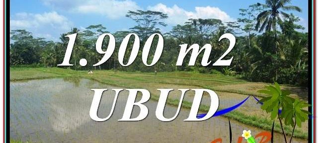 UBUD BALI 1,900 m2 LAND FOR SALE TJUB629