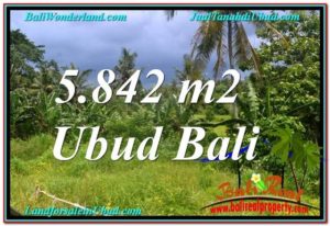 Beautiful 5,842 m2 LAND IN UBUD BALI FOR SALE TJUB638