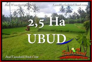 Magnificent PROPERTY 25,000 m2 LAND IN Ubud Payangan FOR SALE TJUB655