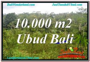FOR SALE Exotic LAND IN UBUD TAMPAK SIRING BALI TJUB681