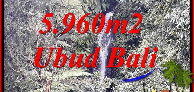 Exotic Property Land for sale in Ubud Bali TJUB696