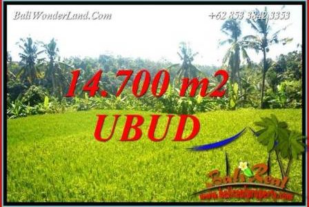 FOR sale Exotic 14,700 m2 Land in Ubud Bali TJUB717