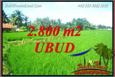 Exotic Property 2,800 m2 Land for sale in Sentral Ubud Bali TJUB726