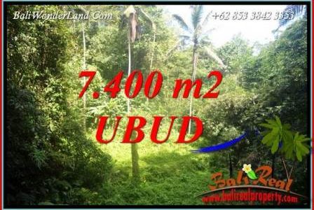 7,700 m2 Land in Ubud Bali for sale TJUB734