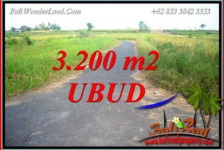 Beautiful 3,200 m2 Land for sale in Ubud Singapadu TJUB736