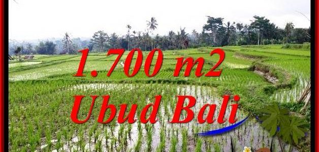 Magnificent LAND FOR SALE IN UBUD TJUB770